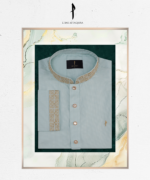 Superior Panjabi - 252008 - Image 2